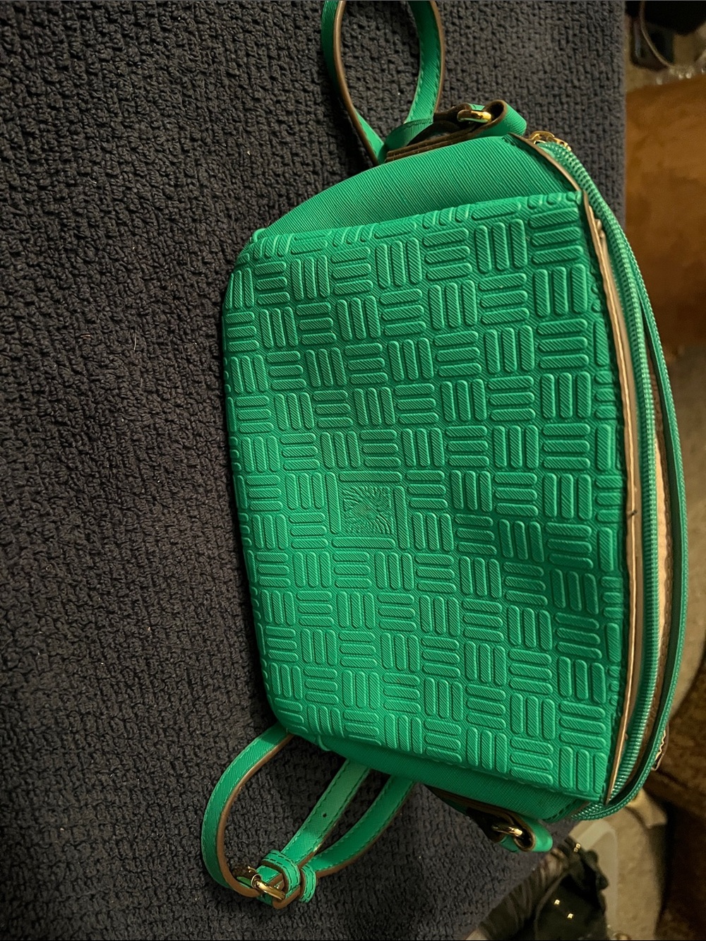 Anne Klein Green Embossed Crossbody Bag with Gold Hardware